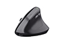 RATON TRUST BAYO II ERGO INALAMBRICO 2400 DPI 6 BOTONES COLOR NEGRO