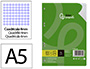 RECAMBIO LIDERPAPEL A5 100 HOJAS 75GR CUADRO 4MM CON MARGEN 6 TALADROS
