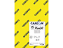 CARTULINA GUARRO DIN A4 COLORES VIVOS 185 GR PAQUETE DE 120 HOJAS COLORES SURTIDOS